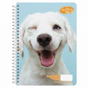 CUADERNO PROF C5 (SWING) 100H
